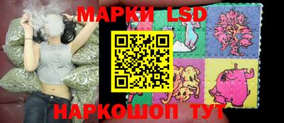 Альфа ПВП Моздок