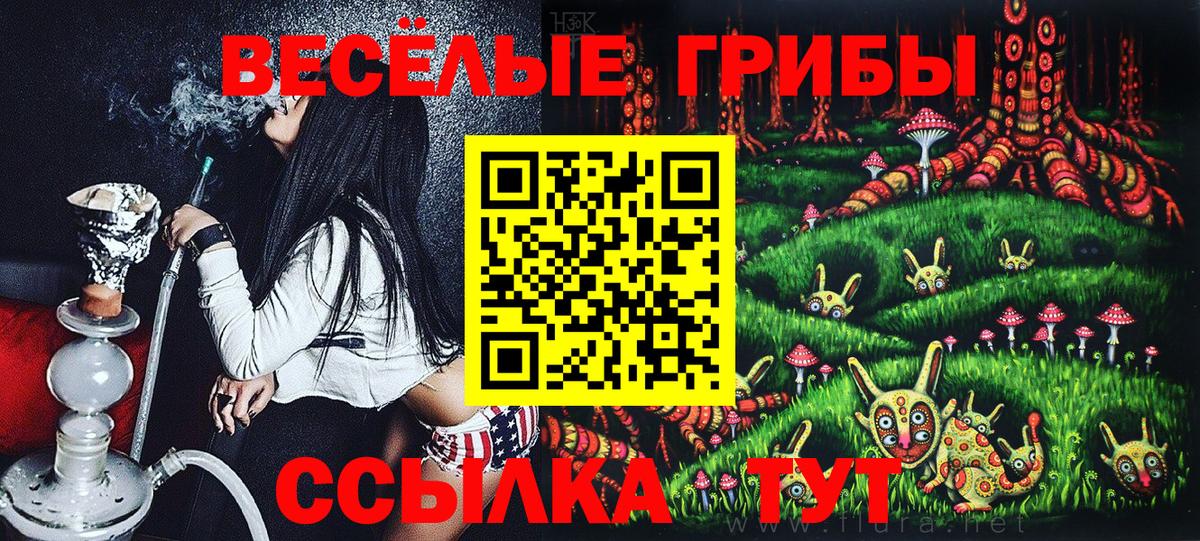 Галлюциногенные грибы Cubensis Сухой Лог